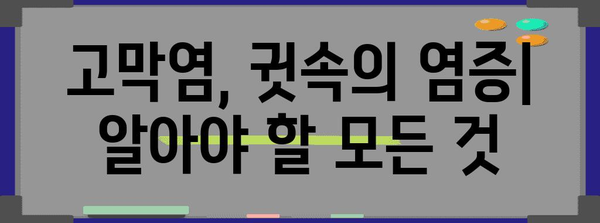 고막염 | 증상, 진단, 치료 전문가 가이드