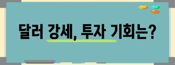 미국 환율 전망 및 달러 투자 전략 | 통화 가치 및 선물