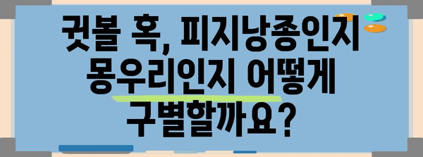 피지낭종 vs. 몽우리 | 귓볼 피부 질환 구별