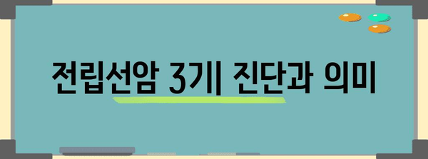 전립선암 3기 이해와 건강 관리 | 증상, 치료, 관리 방법