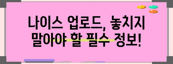 연말정산 나이스 업로드 완벽 가이드| 간편하게 성공하는 꿀팁 | 연말정산, 나이스, 홈택스, 소득공제, 세금