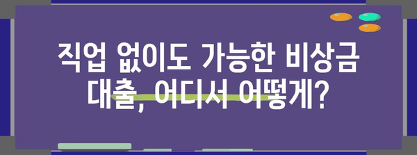 비상금 대출 | 무직자도 이용 가능한 손쉬운 옵션