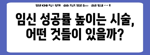 임신 성공률 높이는 가임력 유지술