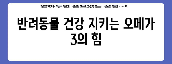 반려동물 건강 필수품 | 오메가 3 영양제의 놀라운 효능