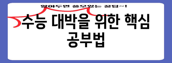 수능 대박을 위한 핵심 전략| 성공적인 수능 준비 가이드 | 수능, 공부, 학습, 전략, 시간관리, 효율성
