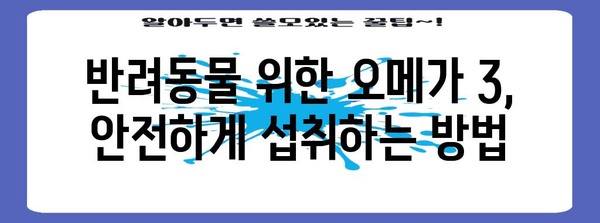 반려동물 건강 필수품 | 오메가 3 영양제의 놀라운 효능