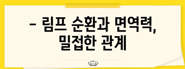 림프드레나쥐로 면역력 강화 및 붓기 완화