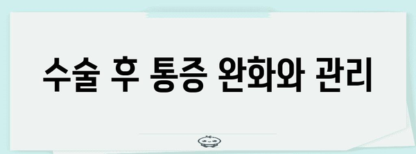 허리디스크 수술 후 빠른 회복을 위한 가이드
