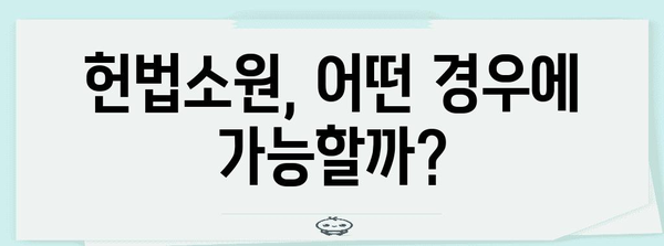 헌법소원 제기 가이드| 절차부터 성공 전략까지 | 헌법, 소송, 권리 구제