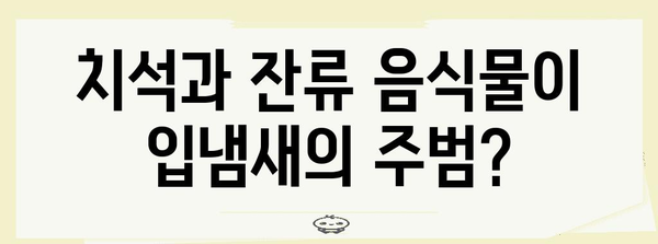 입냄새 원인 밝히기 | 치석과 잔류 음식물이 입김 악취의 주범