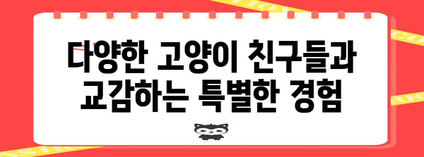 일산 고양이 파라다이스 | 냥이놀이터 카페