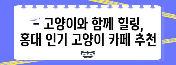 홍대에서 만나는 힐링 공간 | 고양이 카페 추천