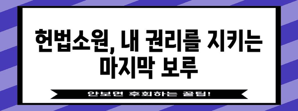 헌법소원 제기 가이드| 절차부터 성공 전략까지 | 헌법, 소송, 권리 구제