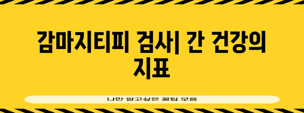 감마지티피 검사 결과 해석 완벽 정리 | 정상 및 이상 수치 의미