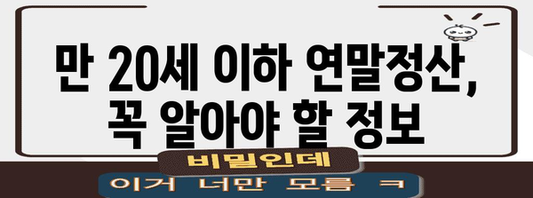 만 20세 이하 연말정산, 꼭 알아야 할 정보 | 연말정산, 미성년자, 소득공제, 세금