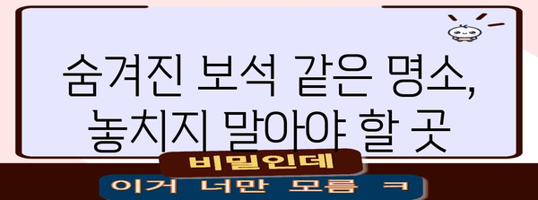 부산 여행하기 위한 필수 코스 7곳 | 놓치면 후회하는 명소 모음
