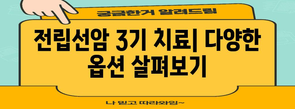 전립선암 3기 이해와 건강 관리 | 증상, 치료, 관리 방법