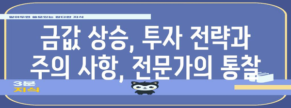 금값 상승 | 투자 기회 vs 관망, 전문가의 통찰력