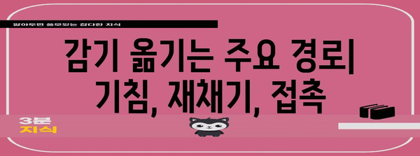 감기 전염 과정 시간대별 안내서