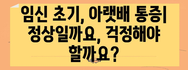 [임신 극초기 증상 | 아랫배 통증이 나타나면 주의]