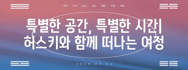 애견의 오아시스 우는 회색 늑대 카페 | 시베리안 허스키에게 바친 특별한 공간