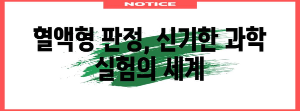 혈액형 판정 실험 후기 | 과학적 탐구와 깨달음