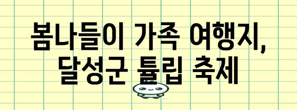 대구 달성군 튤립 축제 | 봄맞이 꽃놀이의 천국