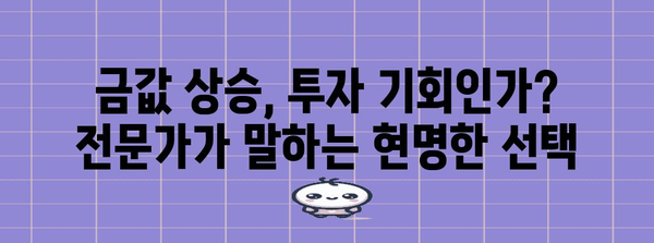 금값 상승 | 투자 기회 vs 관망, 전문가의 통찰력
