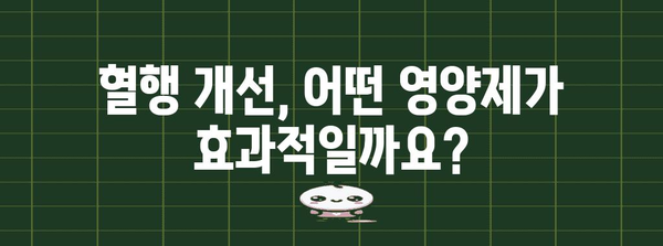 혈행 개선 영양제 섭취 가이드 | 기적의 향상