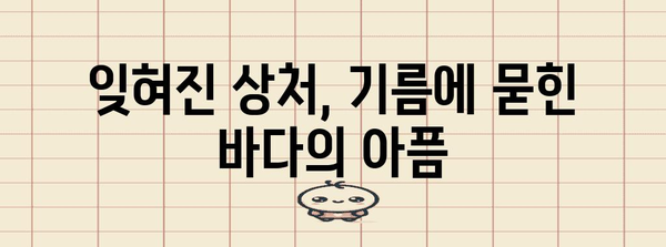 태안 기름 유출 사고| 10년 후, 우리가 기억해야 할 것들 | 기름 유출, 환경 재해, 해양 오염, 생태계 복원