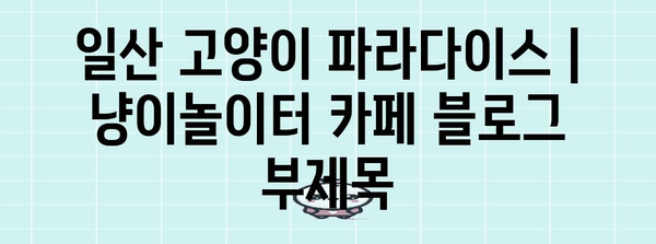 일산 고양이 파라다이스 | 냥이놀이터 카페