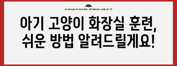 아기 고양이 화장실 훈련 비결 | 성공 전략과 청소 팁