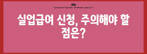 실업급여 신청 방법과 조건 | 실업 지원 가이드