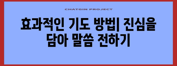 다양한 상황에 맞는 기도문 모음 | 기도, 기도문, 예시, 종류, 기도 방법