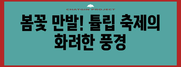 대구 달성군 튤립 축제 | 봄맞이 꽃놀이의 천국