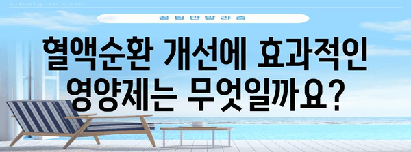 건강한 혈액순환을 위한 영양제 선택 가이드