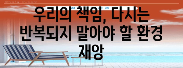 태안 기름 유출 사고| 10년 후, 우리가 기억해야 할 것들 | 기름 유출, 환경 재해, 해양 오염, 생태계 복원