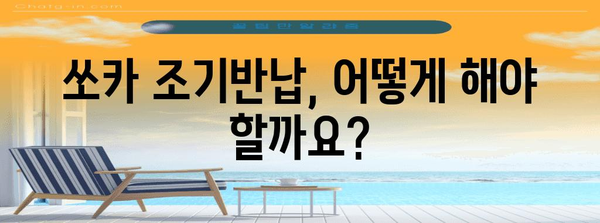 쏘카 조기반납 가이드! 쉽고 빠르게 반납하세요