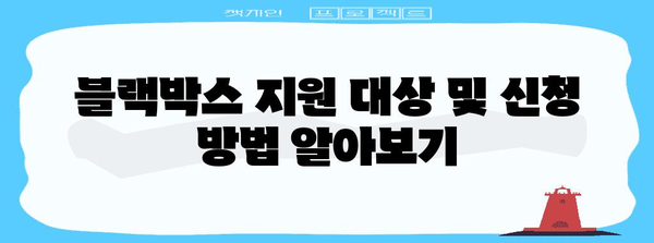 블랙박스 지원 안내 | 사업주를 위한 정부 지원 프로그램