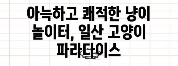 일산 고양이 파라다이스 | 냥이놀이터 카페