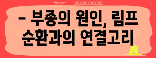 림프드레나쥐로 면역력 강화 및 붓기 완화