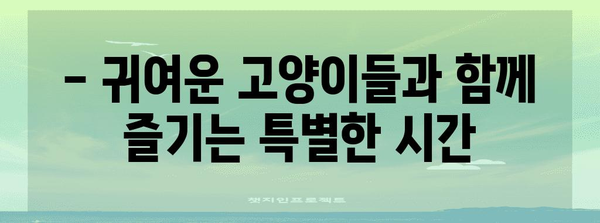 홍대에서 만나는 힐링 공간 | 고양이 카페 추천