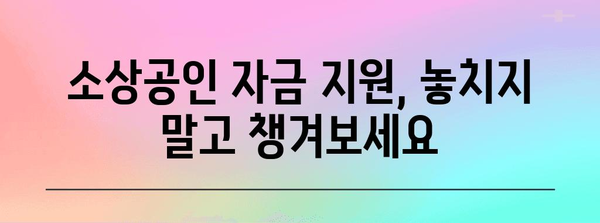 정부 지원 활용하기 | 소상공인을 위한 자금 옵션
