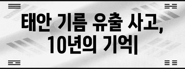 태안 기름 유출 사고| 10년 후, 우리가 기억해야 할 것들 | 기름 유출, 환경 재해, 해양 오염, 생태계 복원