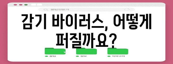 감기 전염 과정 시간대별 안내서