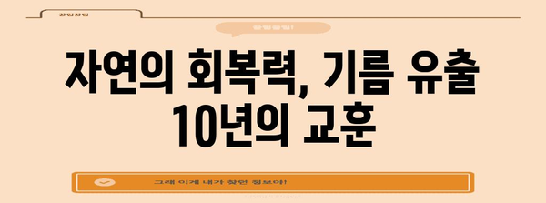 태안 기름 유출 사고| 10년 후, 우리가 기억해야 할 것들 | 기름 유출, 환경 재해, 해양 오염, 생태계 복원