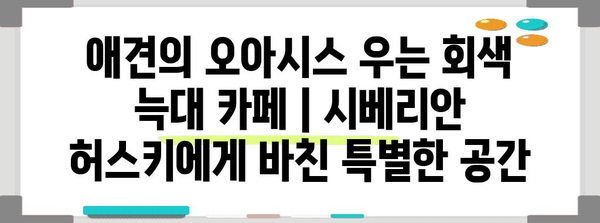 애견의 오아시스 우는 회색 늑대 카페 | 시베리안 허스키에게 바친 특별한 공간