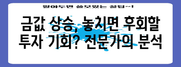 금값 상승 | 투자 기회 vs 관망, 전문가의 통찰력
