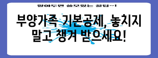 연말정산 부양가족 기본공제, 누가 받을 수 있을까요? | 자격 요건, 상세 설명, 혜택