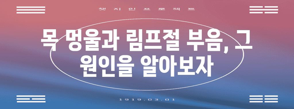 목 멍울과 림프절 부음의 원인 파헤치기